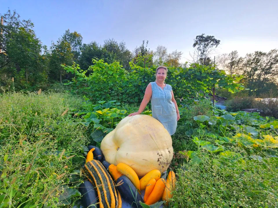 Фото: МедиаБанк Подмосковья/Яна Шаливская
