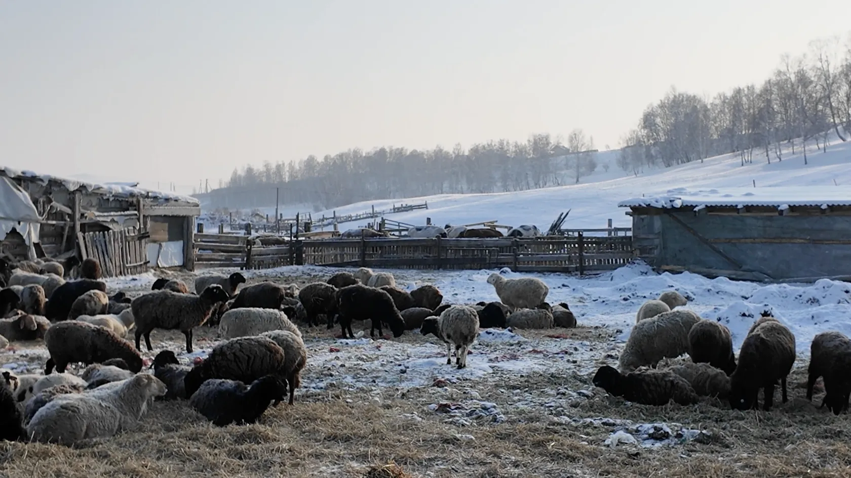 отделение Народного фронта Красноярского края