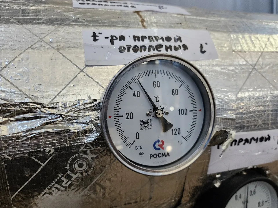 Фото: МедиаБанк Подмосковья/Екатерина Данилина