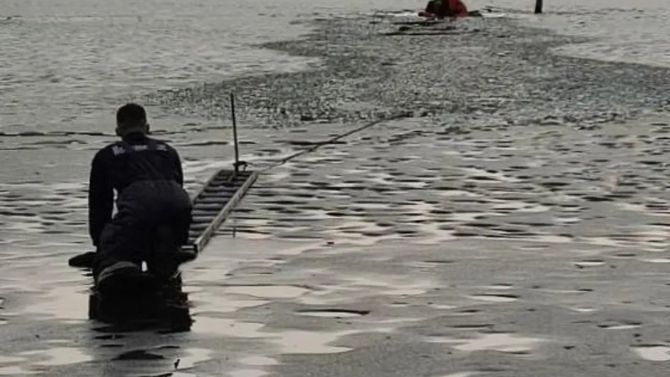 Фото: ГКУ МО «Мособлпожспас»