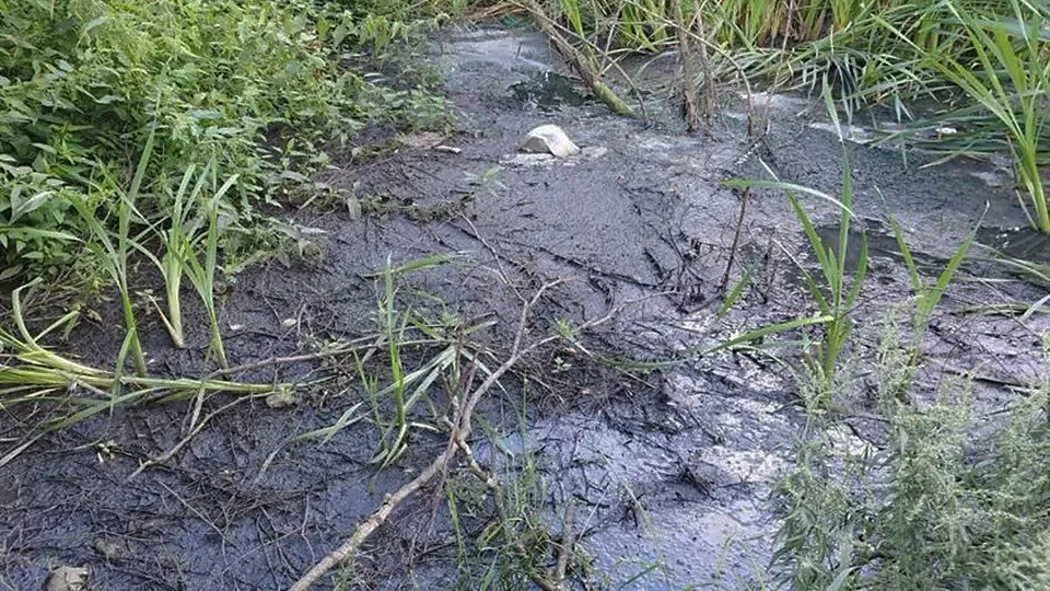 Фото: Министерство ЖКХ Московской области