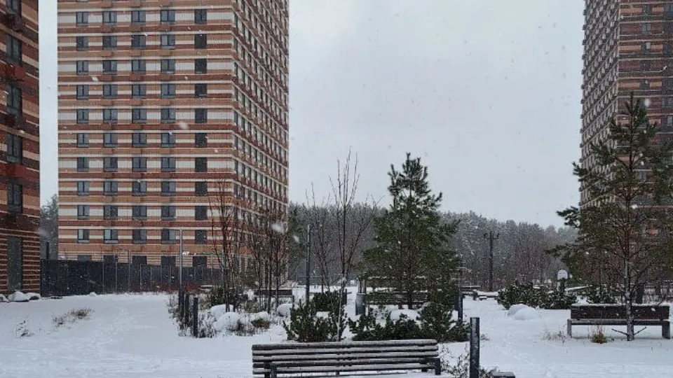 Автор: REGIONS/Катерина Антохина