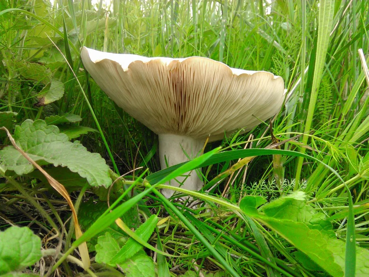 Министерство экологии и природопользования Московской области