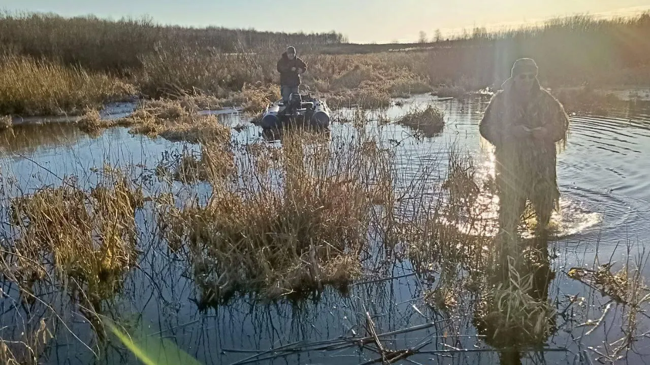 Комитет лесного хозяйства Московской области