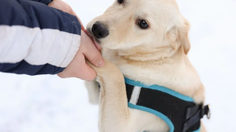 Фото: личный архив Яны Блоцкой