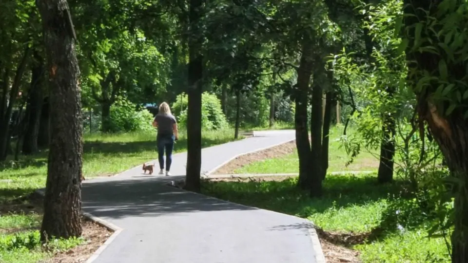 Фото: пресс-служба администрации г.о. Подольск