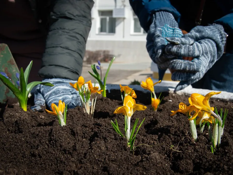 Фото: пресс-служба администрации городского округа Коломна