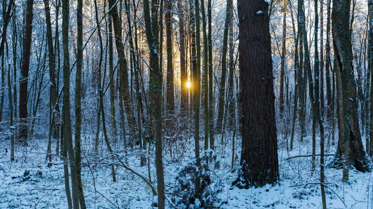 медиасток.рф