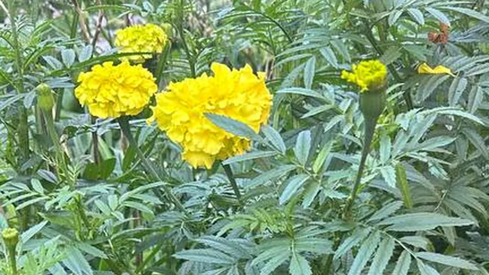 Фото: Александра Серова