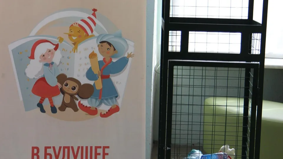 Фото: Министерство социального развития Московской области