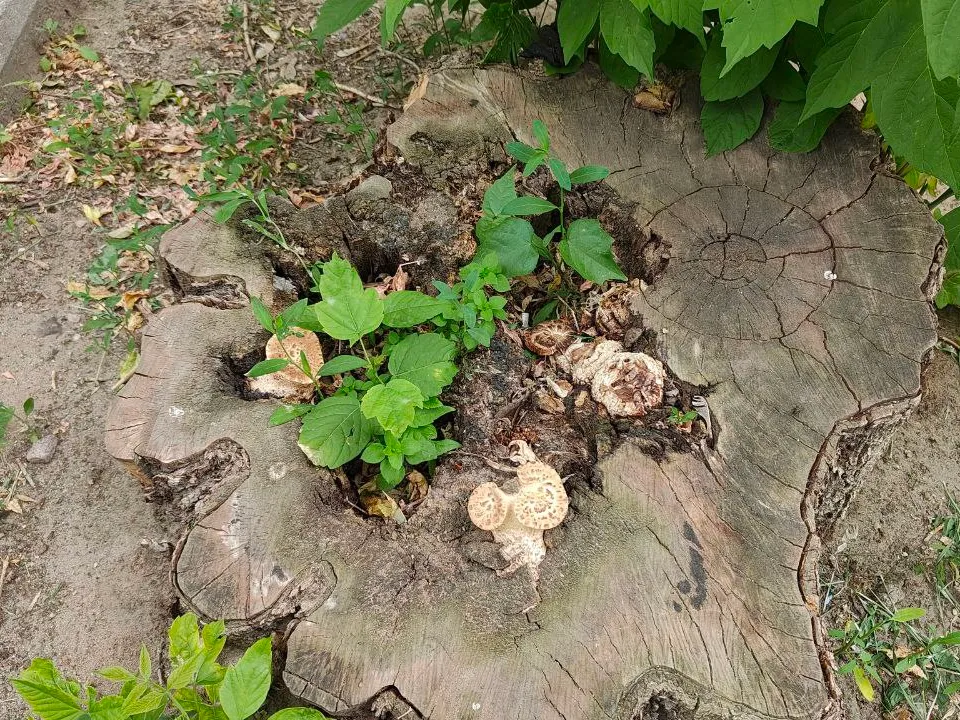 Фото: Иван Федулов