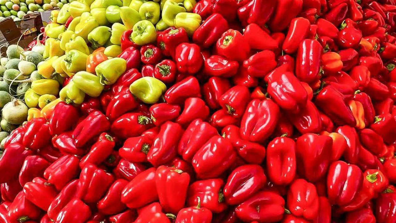 Максим Цыбуляк