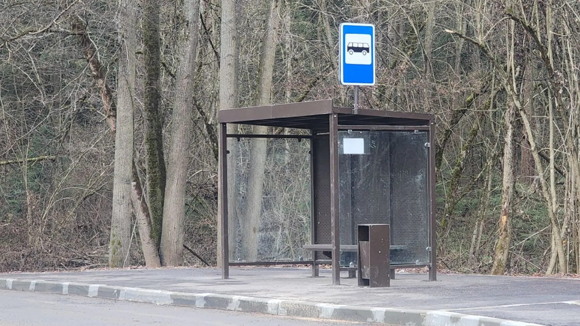 Фото: МедиаБанк Подмосковья/Хавива Фонина