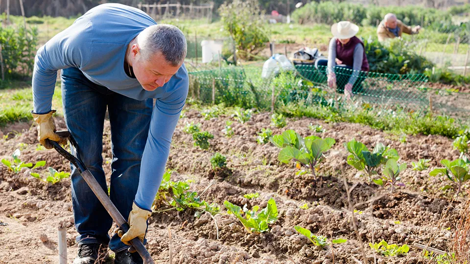 Фото: istockphoto.com