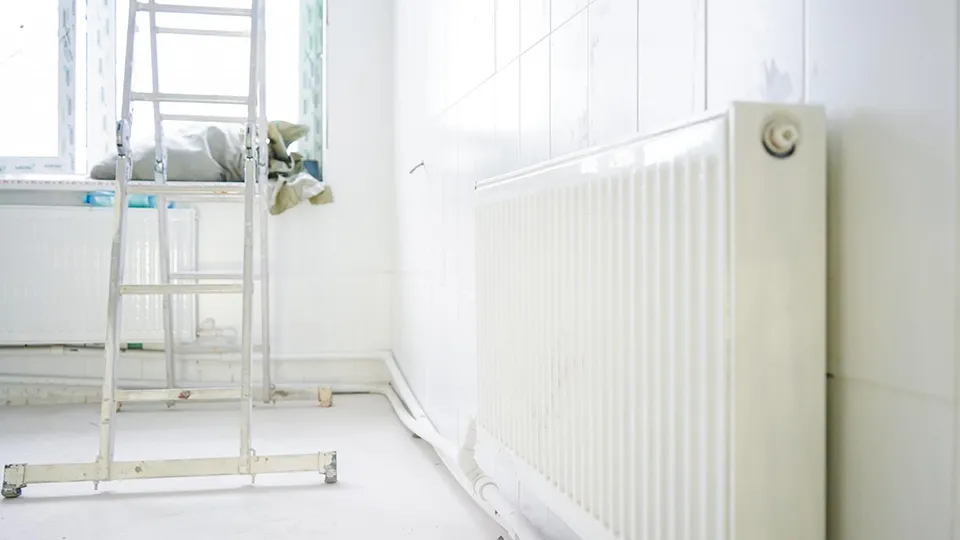 Фото: администрация Шатуры