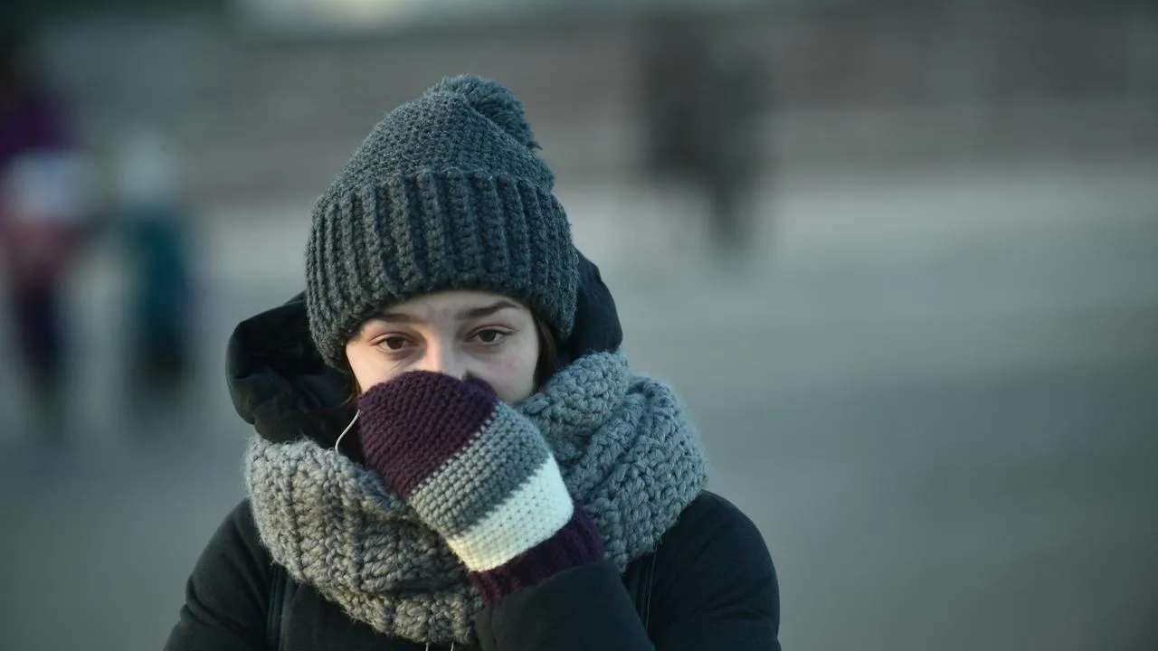 медиасток.рф