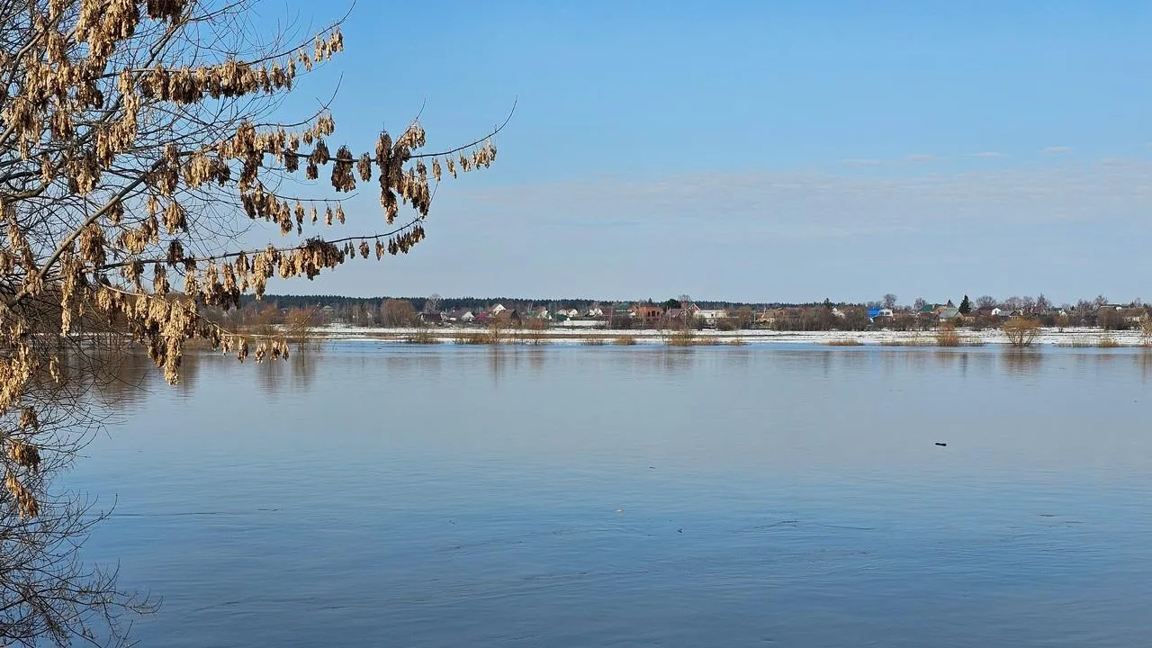 REGIONS/Александр Дрожжин