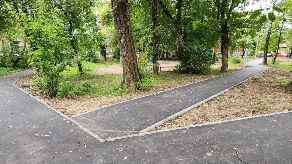 Александр Степушкин