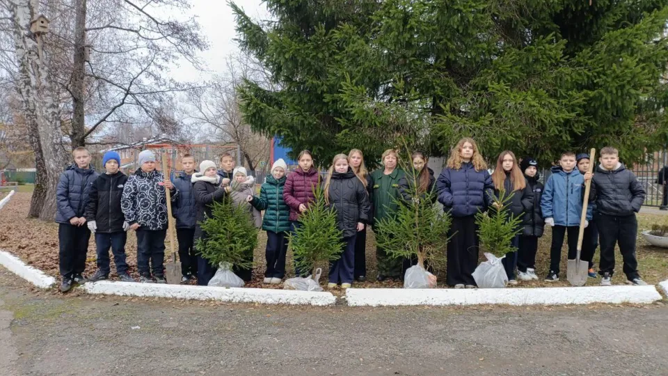 Фото: Комитет лесного хозяйства Московской области