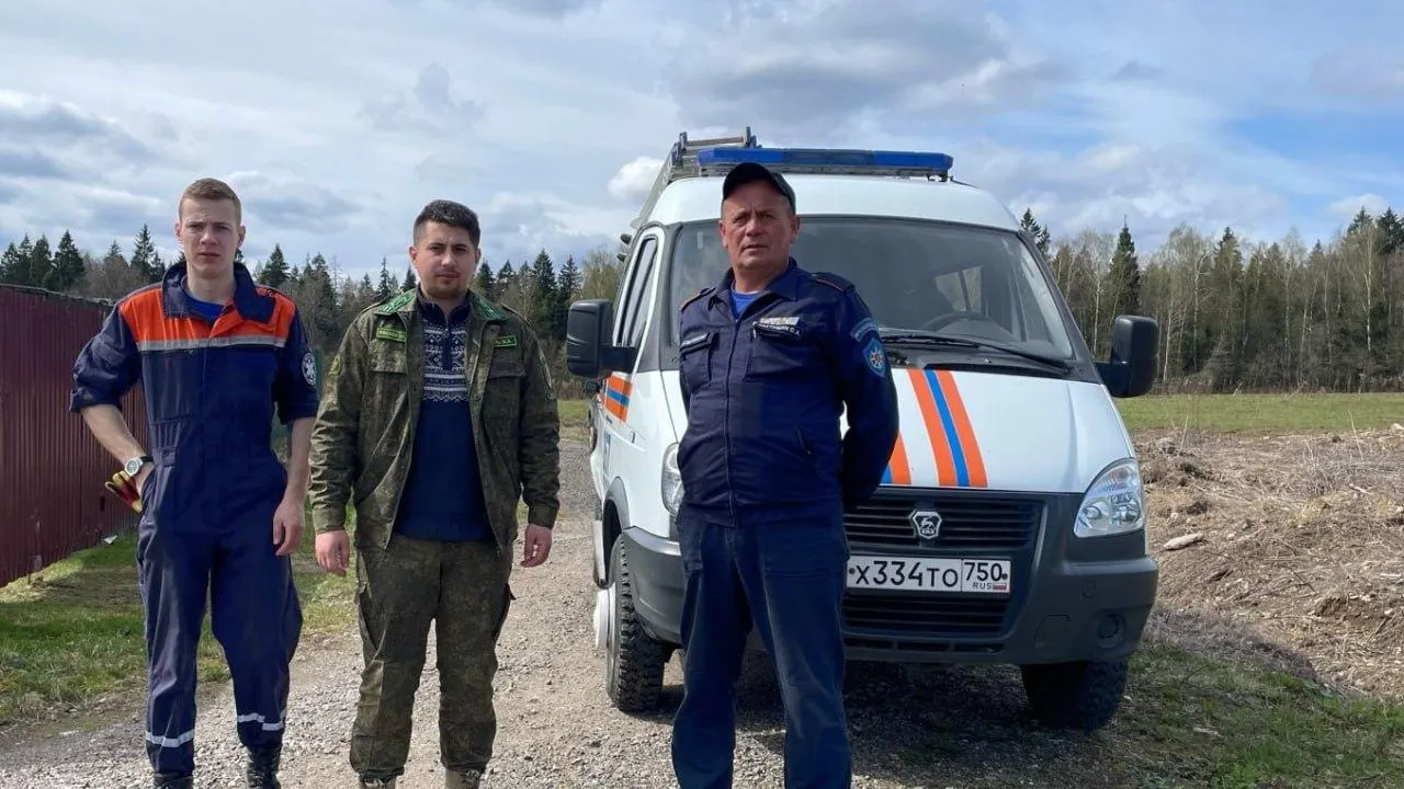 Лесничие из Клина обнаружили боеприпас времен ВОВ