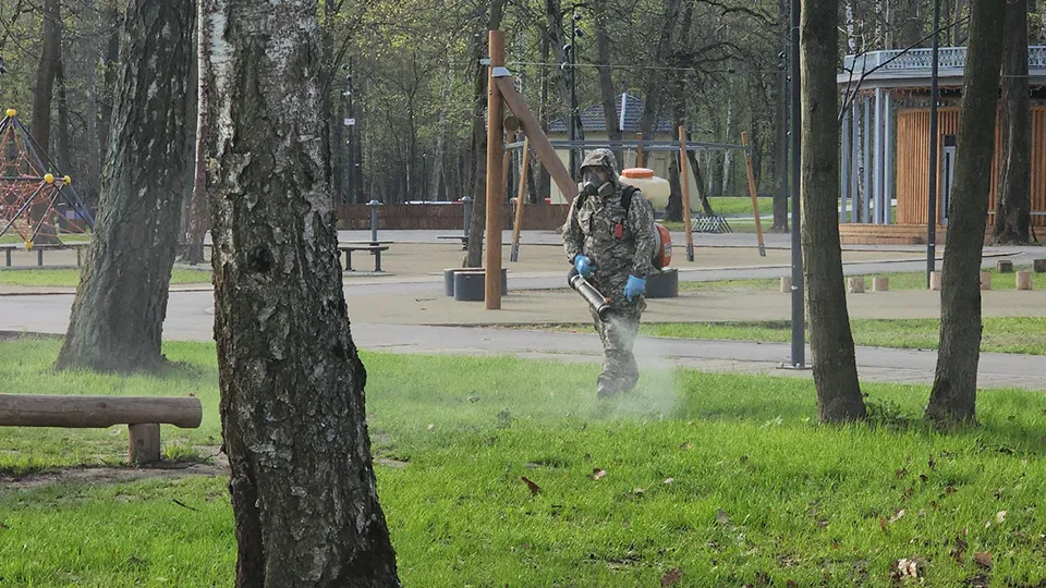 Фото: Андрей Семибратов