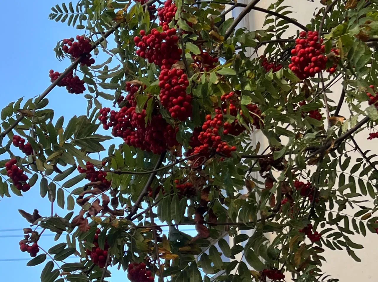 Фото: REGIONS/Татьяна Кордюкова