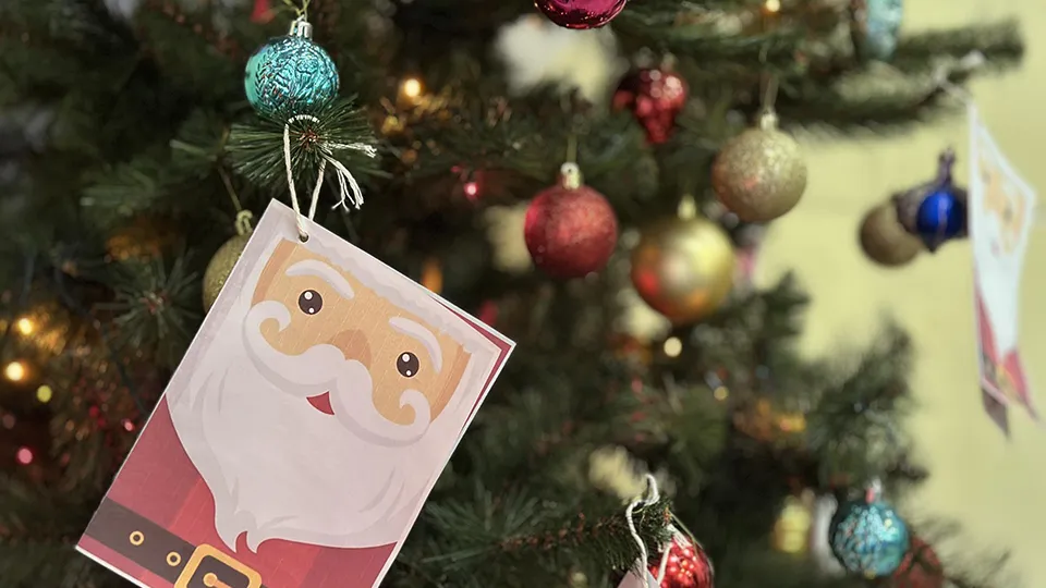 Фото: МедиаБанк Подмосковья/Кристина Тришина