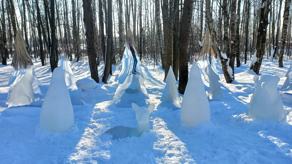 Фото: Олег Книжник