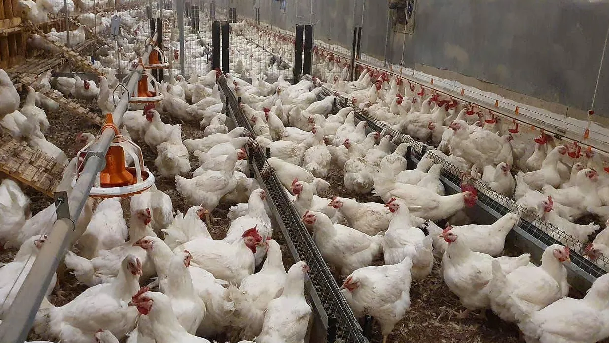 Фото: Пресс-служба Минсельхозпрод МО