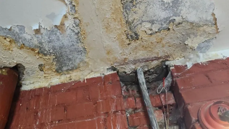 Анна Артюшина