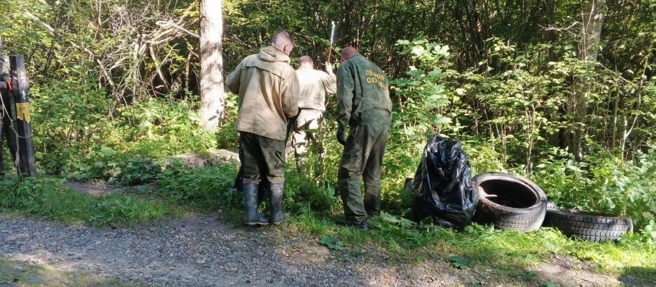 Фото: Комитет лесного хозяйства Московской области