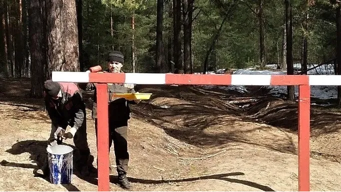 Фото: Пресс-служба Комитета лесного хозяйства Московской области