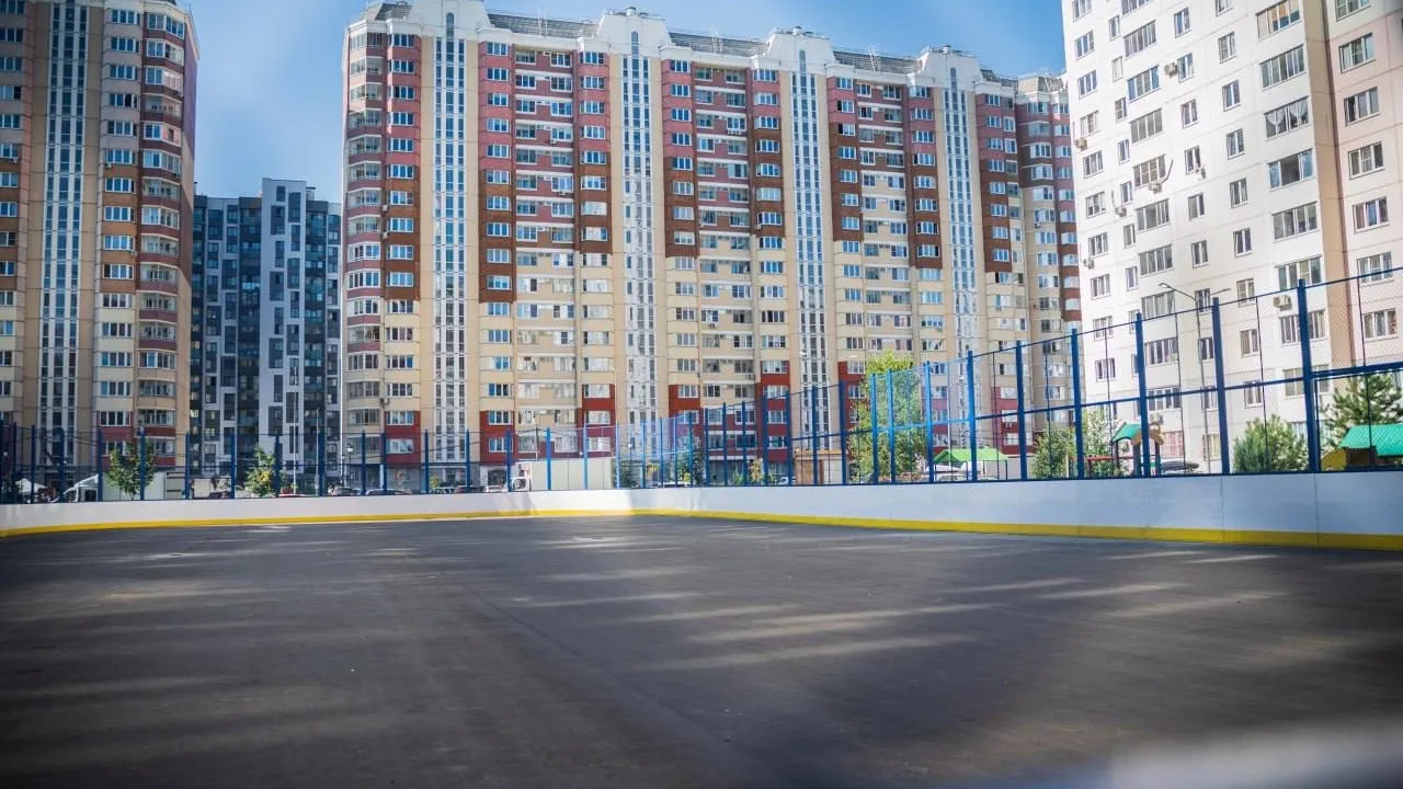 Фото: пресс-служба администрации г.о. Домодедово