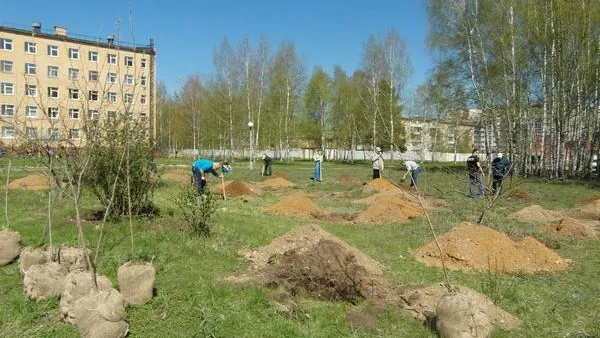 Пресс-служба Минсоцзащиты МО