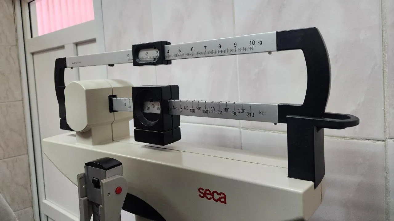 REGIONS/Мария Шигорева