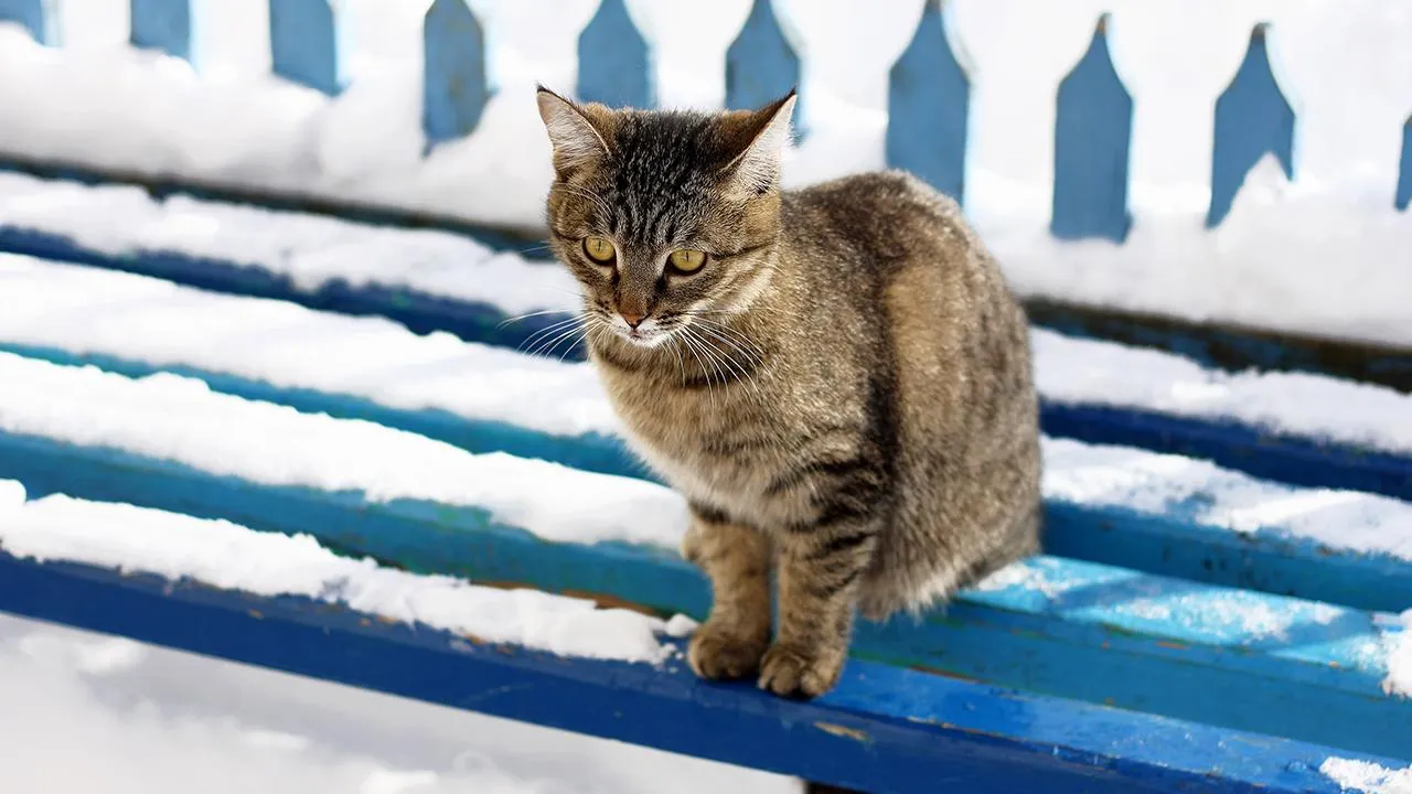 istockphoto.com/Ozii45