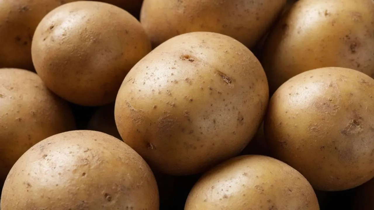 REGIONS/Сгенерировано нейросетью