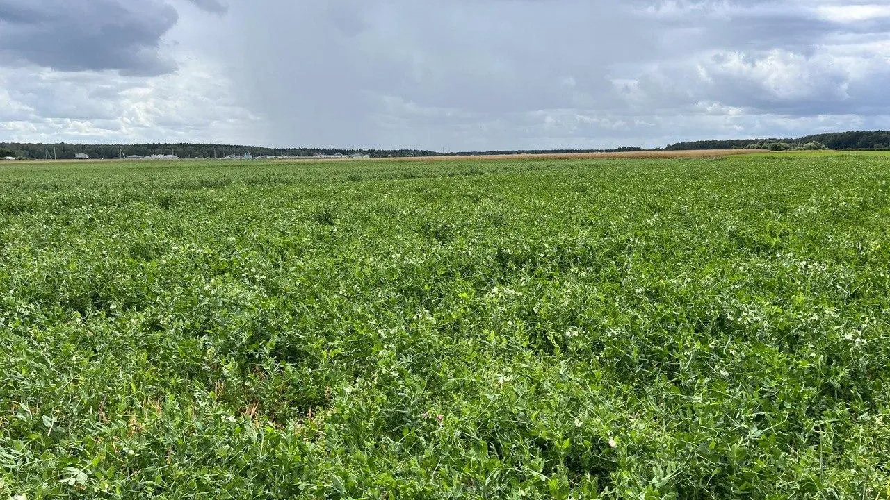 Пресс-служба Минсельхозпрод МО