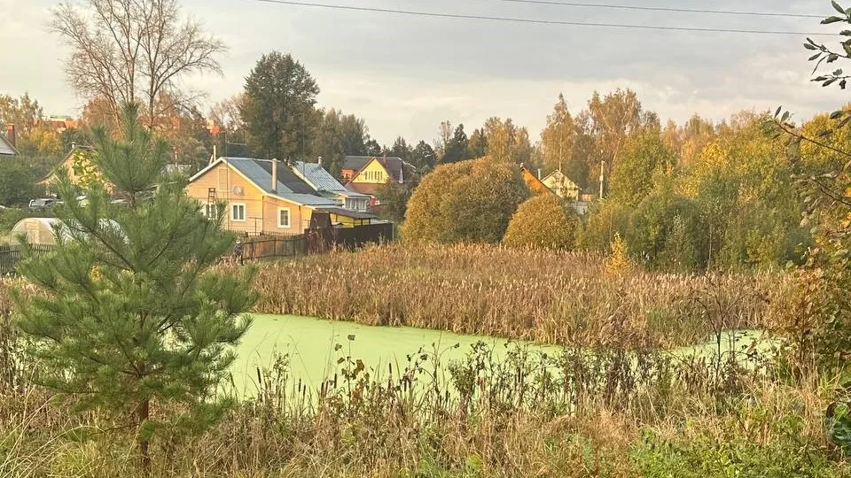 Фото: Александра Серова