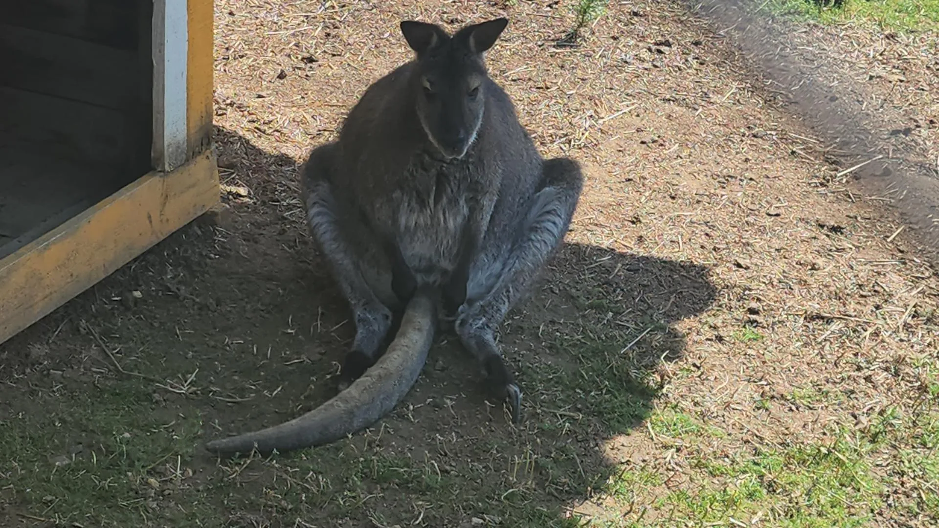 МедаБанк Подмосковья/Екатерина Морозова