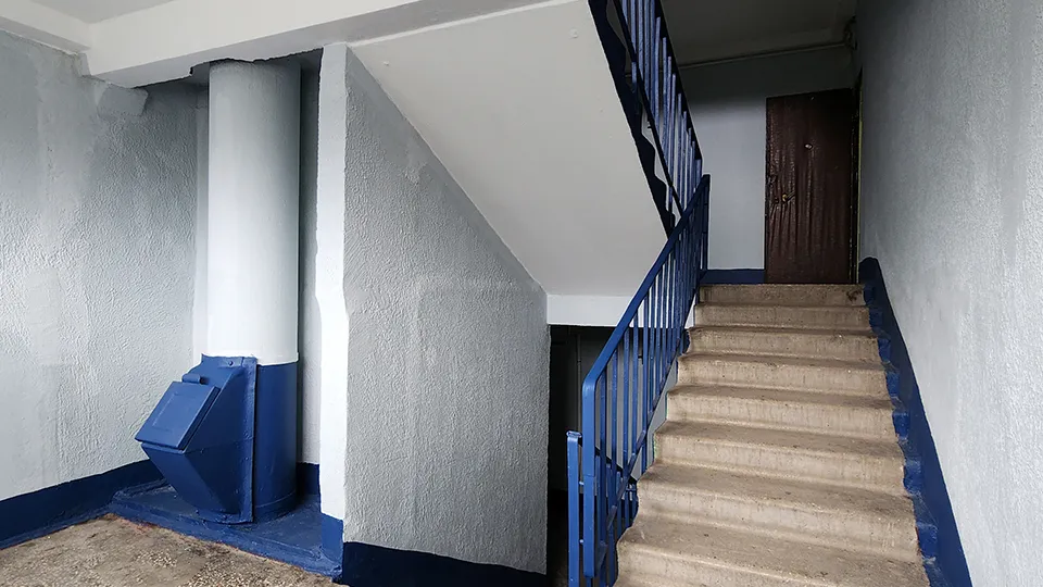 Фото: МедиаБанк Подмосковья/Валерия Тингаева