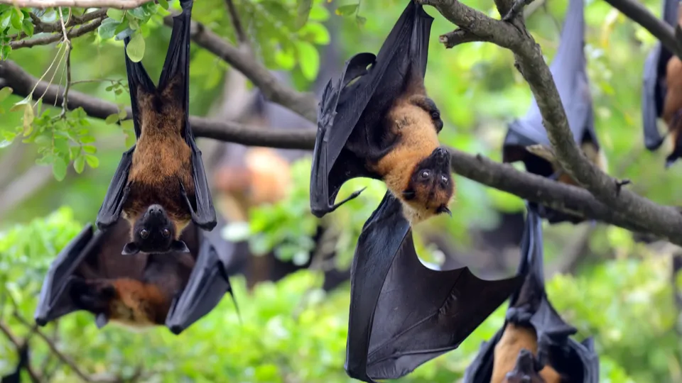 Фото: freepik.com