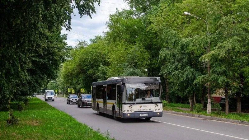 В Подмосковье на 20% увеличилось число поездок на дачных маршрутах