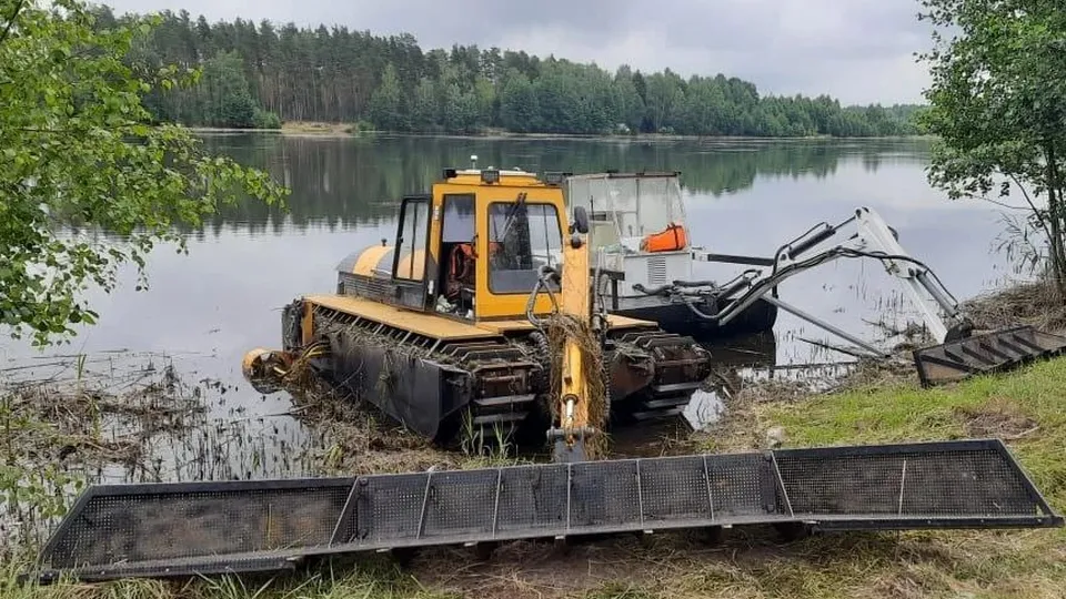 Фото: из архива Дмитрия Травкина