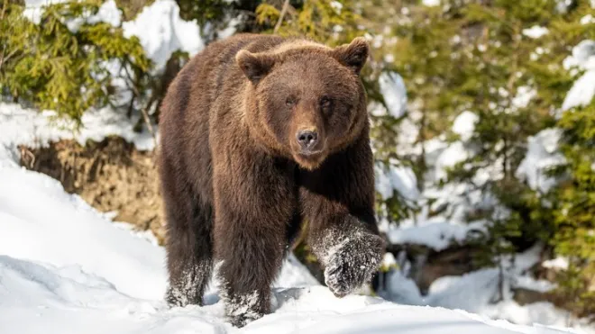 медиасток.рф