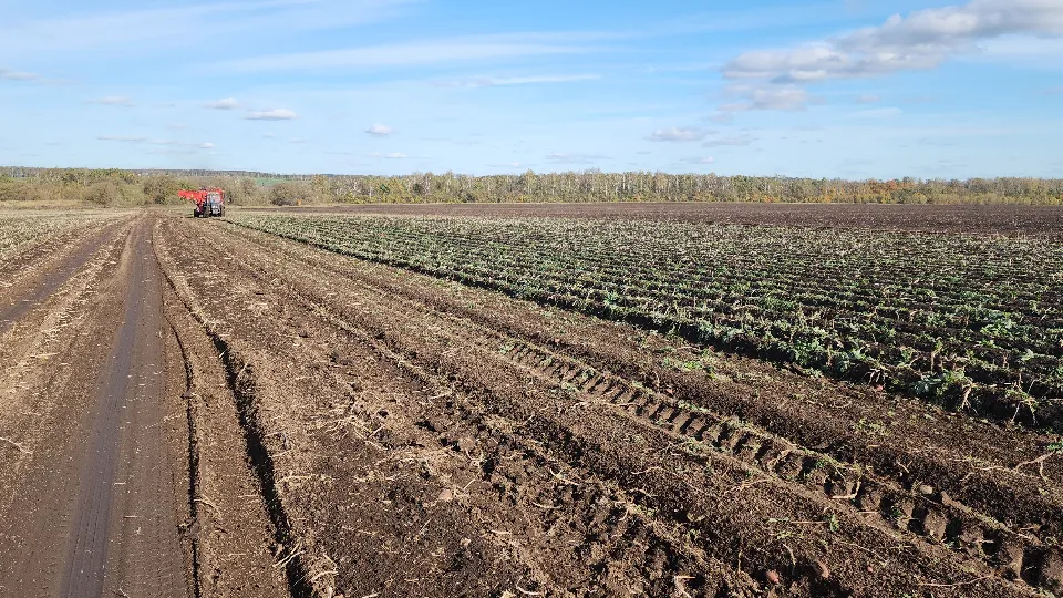 Фото: МедиаБанк Подмосковья/Иван Дубров