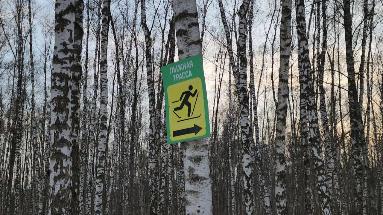 МедиаБанк Подмосковья/Эдуард Стратонов