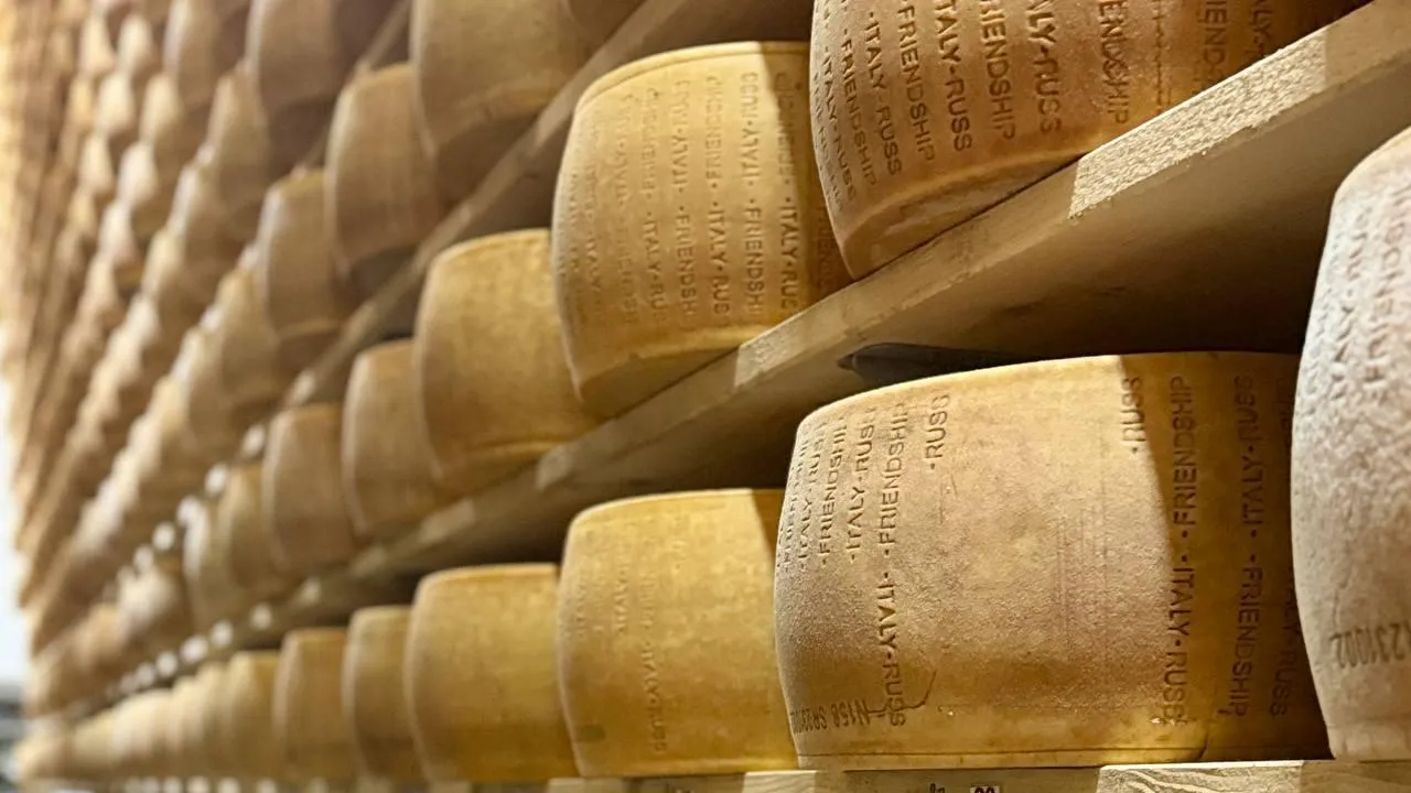 агропарк «Сырная Долина» в Дмитрове