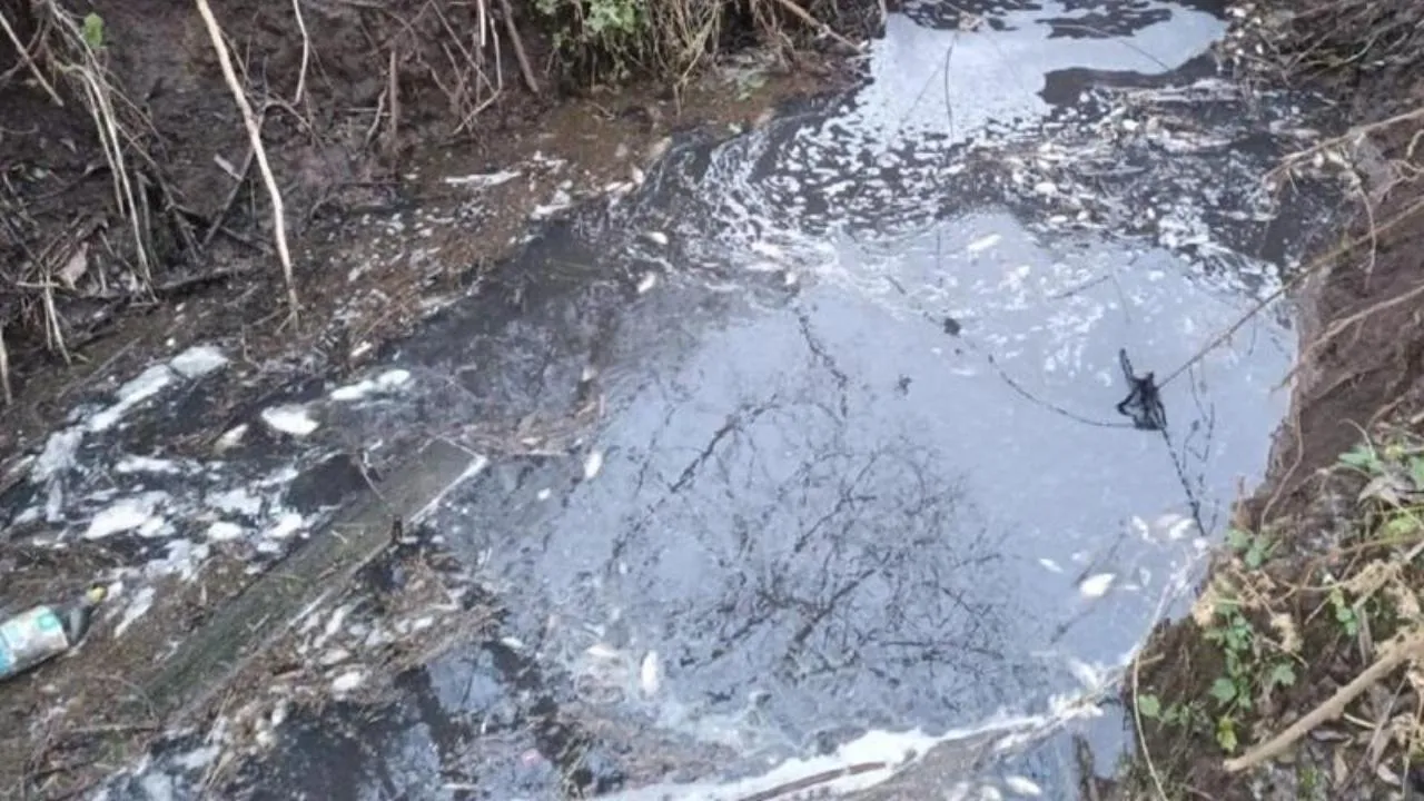 Министерство экологии и природопользования Московской области