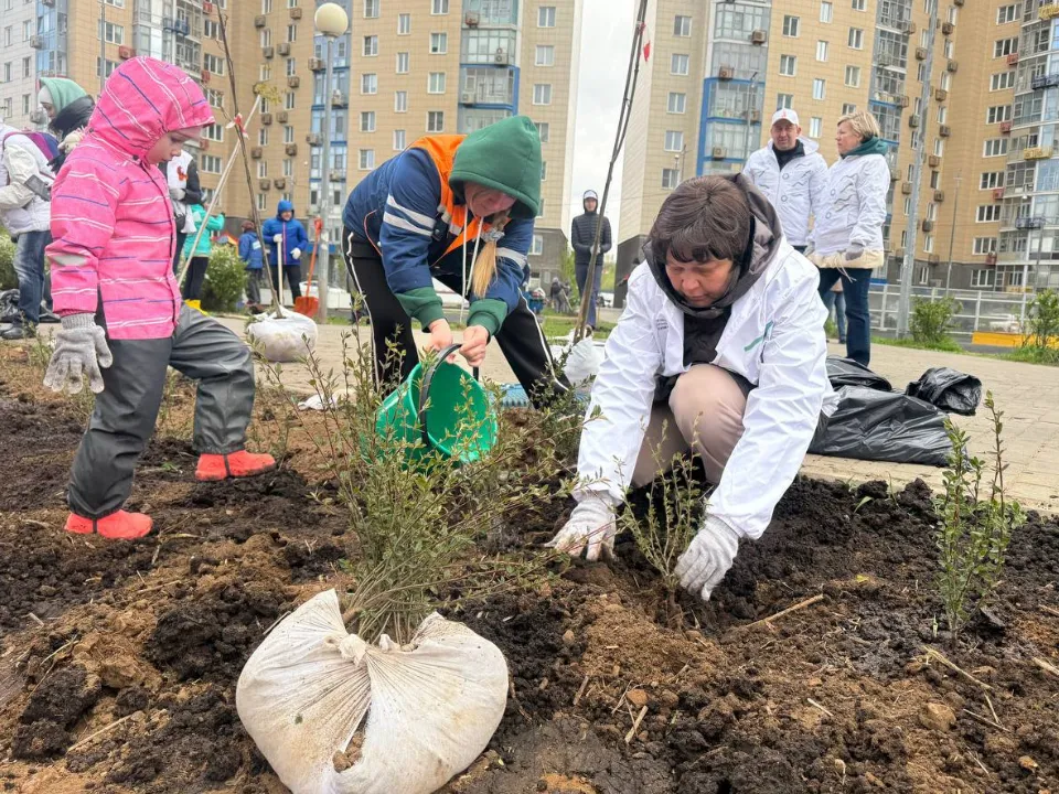 Фото: t.me/krasnogorsk_official